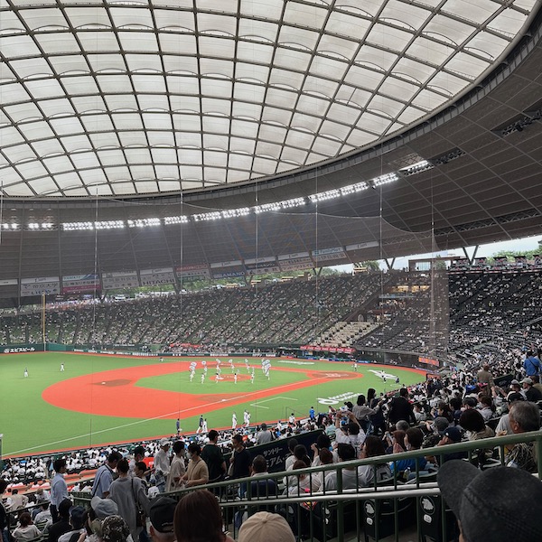 ベルーナドーム、内野