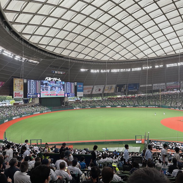 ベルーナドーム、外野