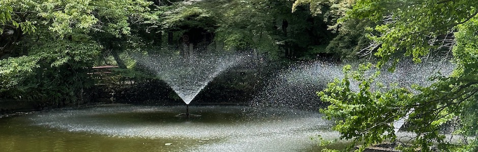 井の頭公園の噴水