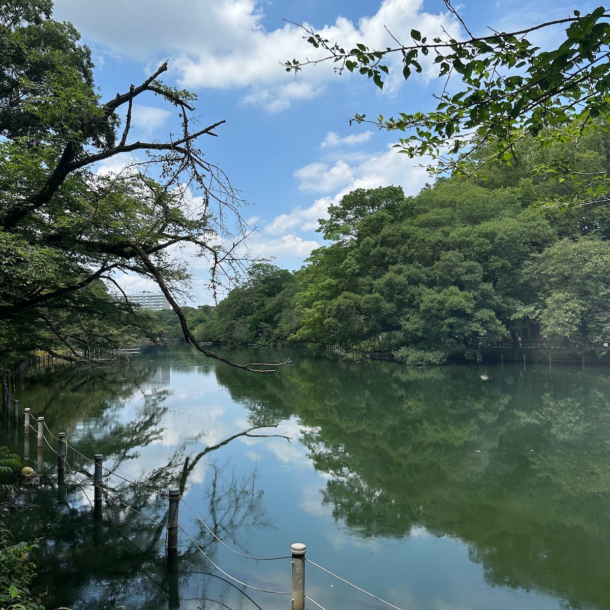 井の頭公園
