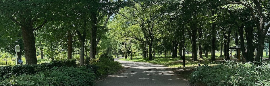 夏の終わりの公園