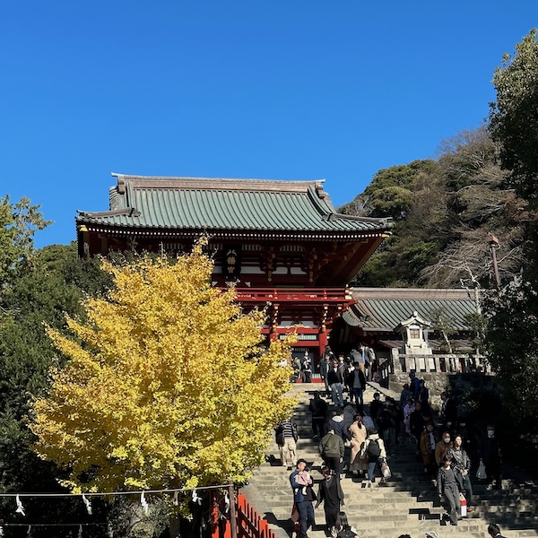 大銀杏