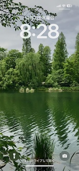 公園の森