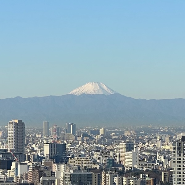 東京、30階から見た富士山