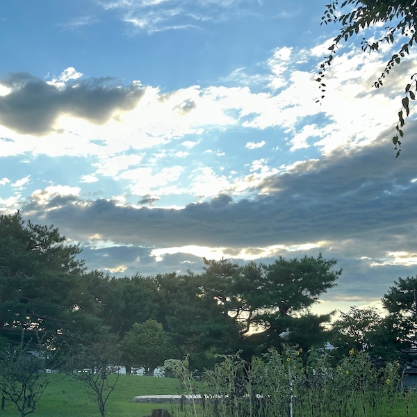 夏の夕方、西の空