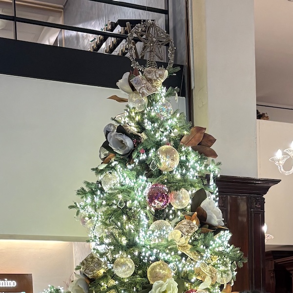 三笠会館のクリスマスツリー