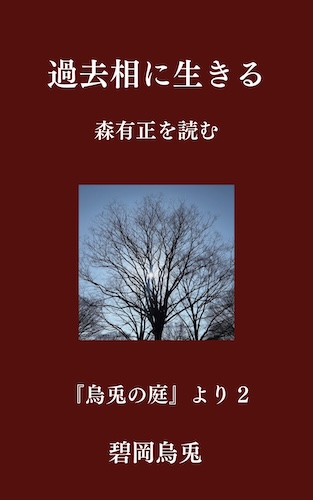 過去相に生きる 表紙 青系