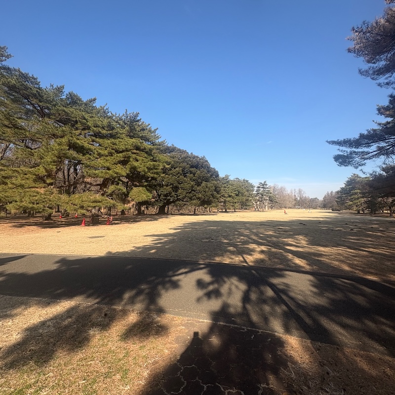 野川公園の芝生広場