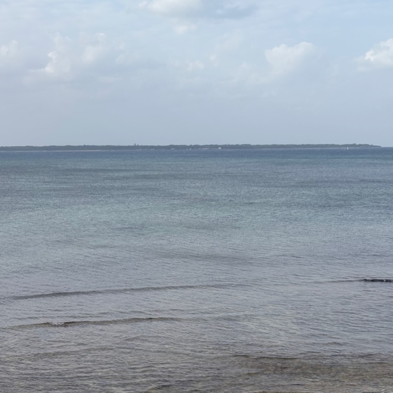 バルコニーからの眺望