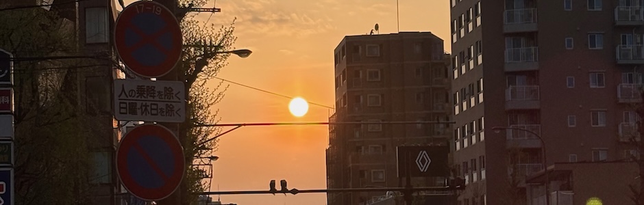 ビルのあいだに沈む夕日
