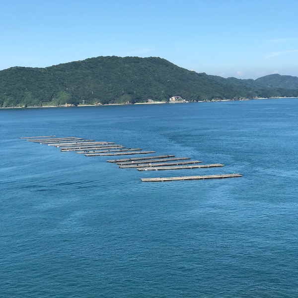 鳥羽の海