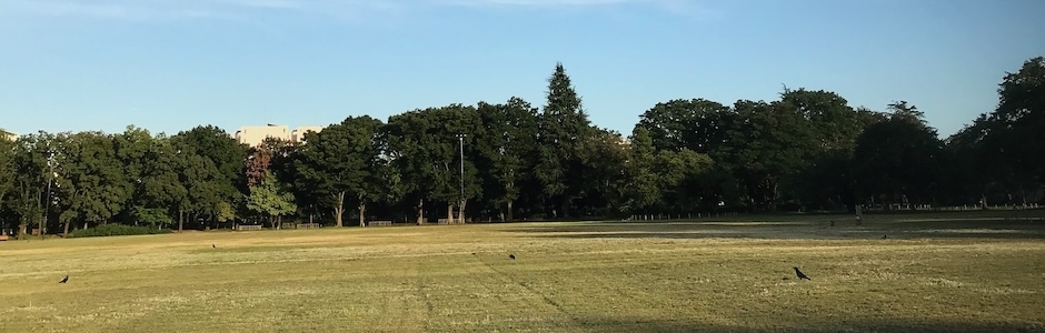 武蔵野中央公園