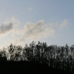 大倉山夕景