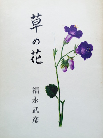 草の花、1972年版