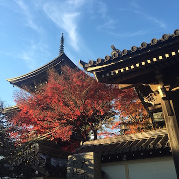 紅葉と三重塔