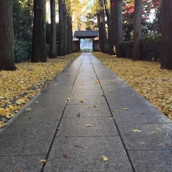 参道のような公園の入口