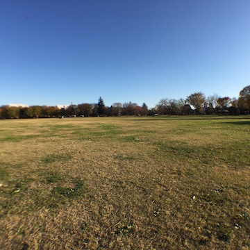 武蔵野中央公園