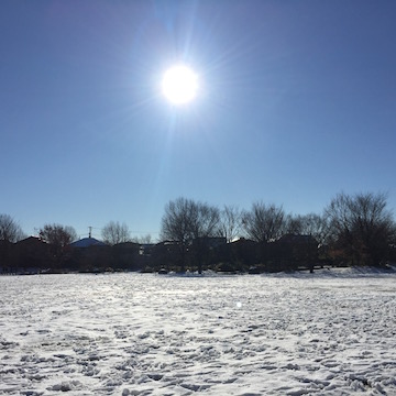 雪の朝
