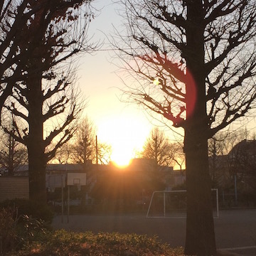 夕陽