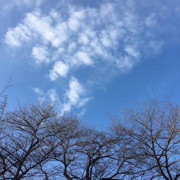 ハート型の雲