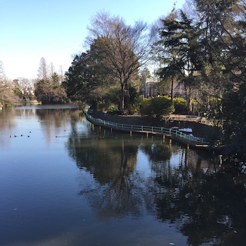 公園の池