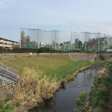 石神井川と野球場