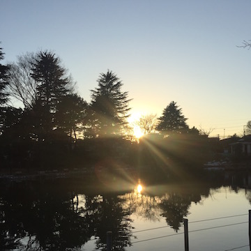 公園の池に映る夕陽