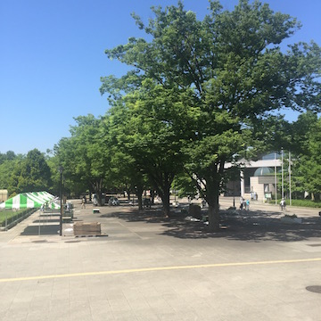 光が丘公園