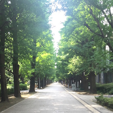 東大駒場キャンパス