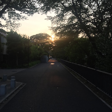 夕暮れの公園
