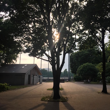 夕暮れの公園