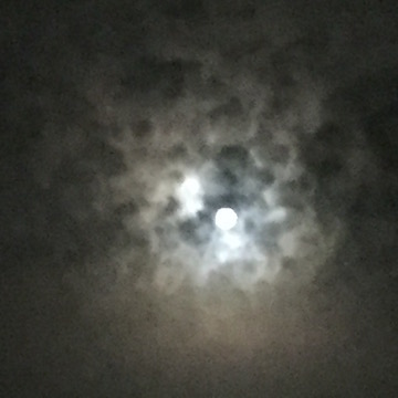 曇り空の日差し