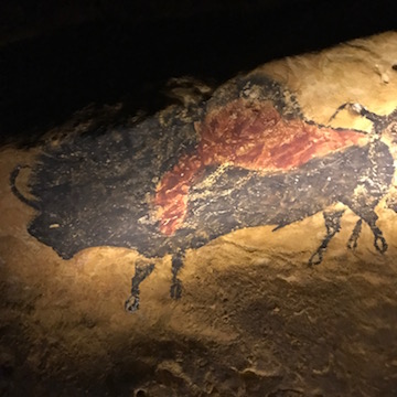 ラスコー洞窟壁画 牛