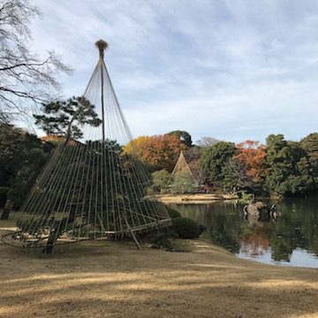 六義園 雪吊り