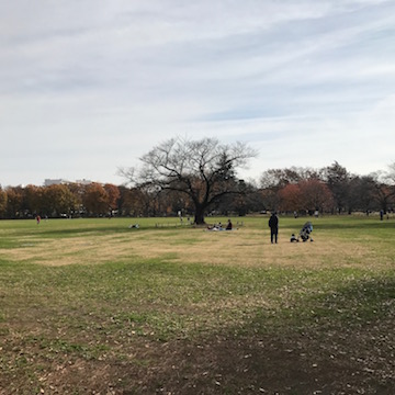 武蔵野中央公園