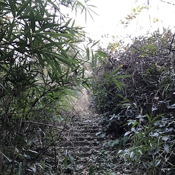 山道