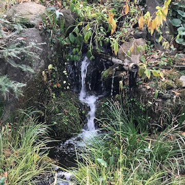 公園の小さな滝