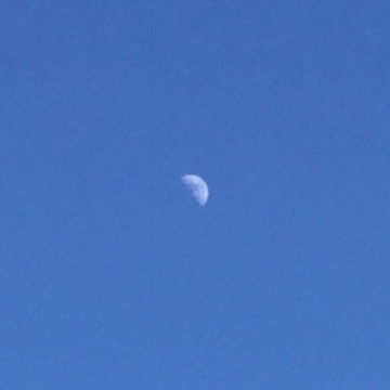 昼の月