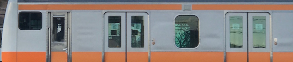 矢車草、花の国、横須賀