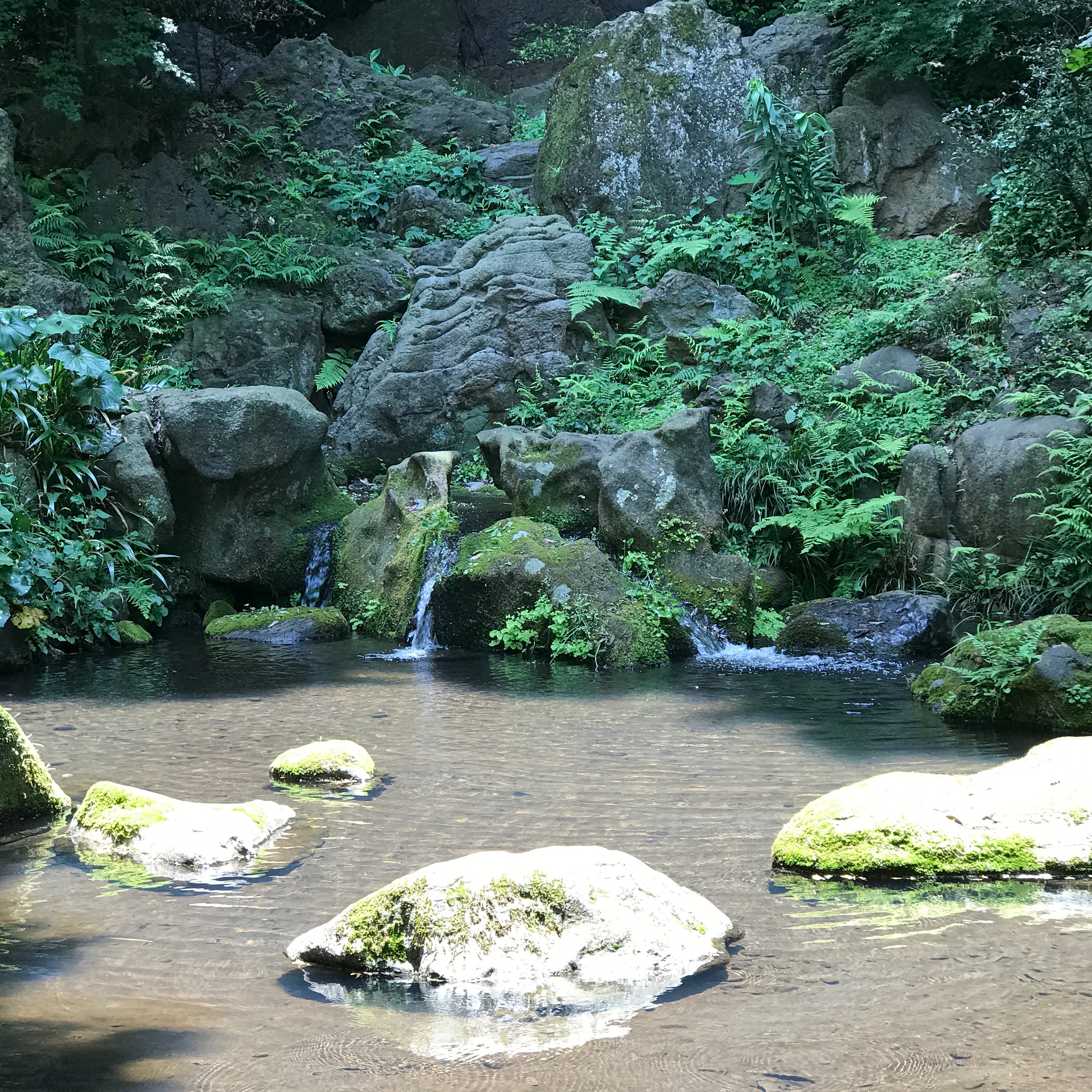 六義園の湧水