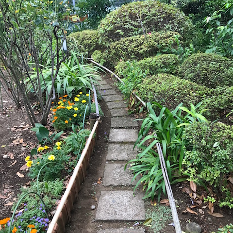 花壇のあいだの小道