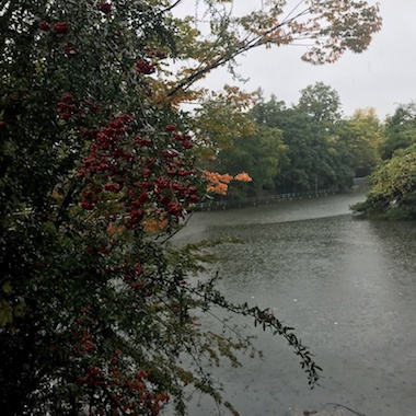 武蔵関公園