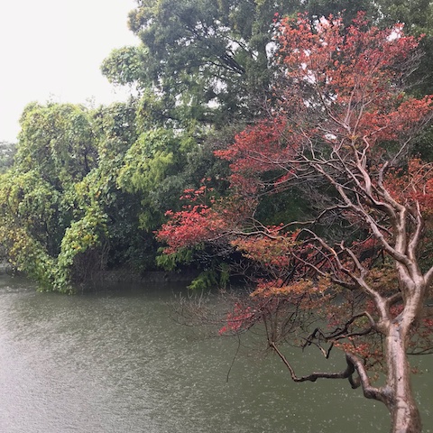 武蔵関公園