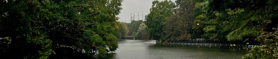雨の武蔵関公園
