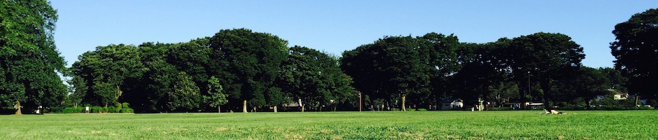 中央公園