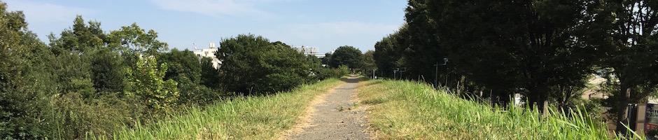 武蔵野の散歩道