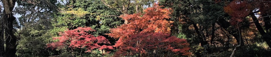 六義園の紅葉