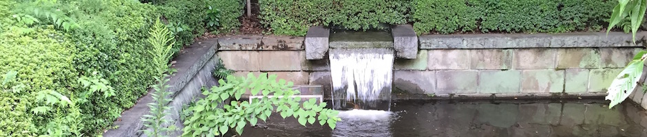 公園の湧水