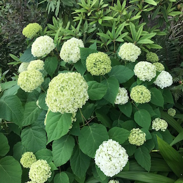 6/2
