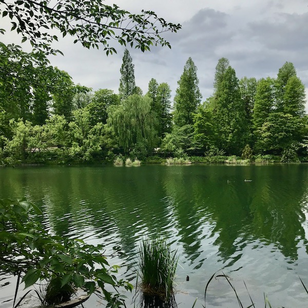 緑あふれる公園